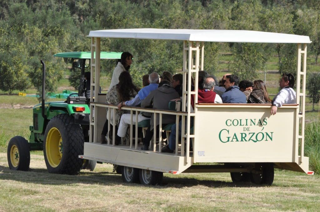 Agroland Garzon, Uruguay