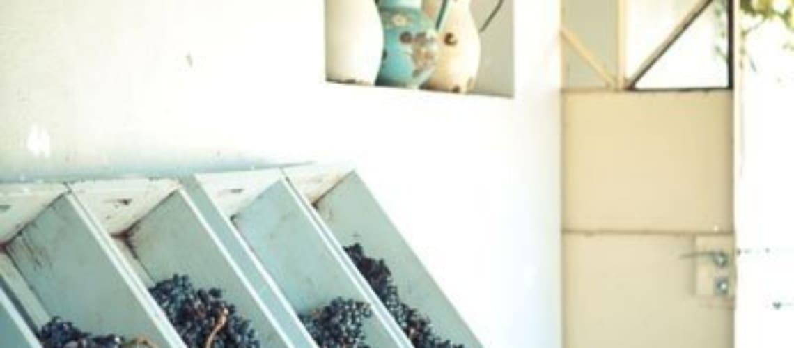 Carmelo-Uruguay-Wine