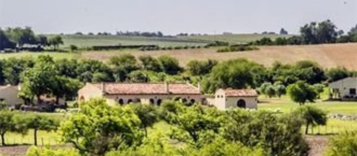 Carmelo-Uruguay-Winery-for-Sale