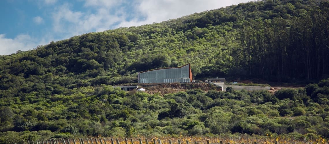 Bodega Vina Eden in Pueblo Eden