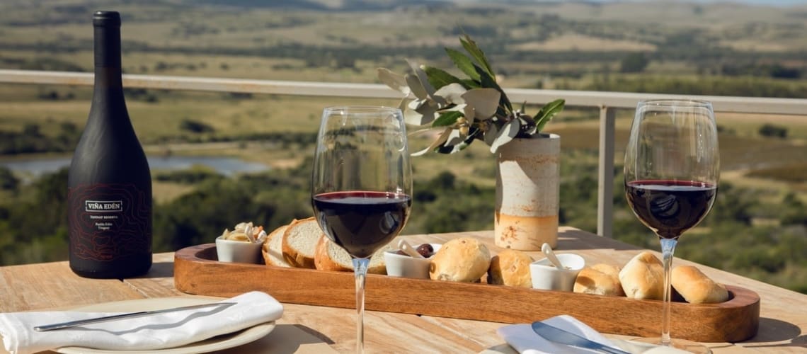 Lunch on the Vina Eden Terrace