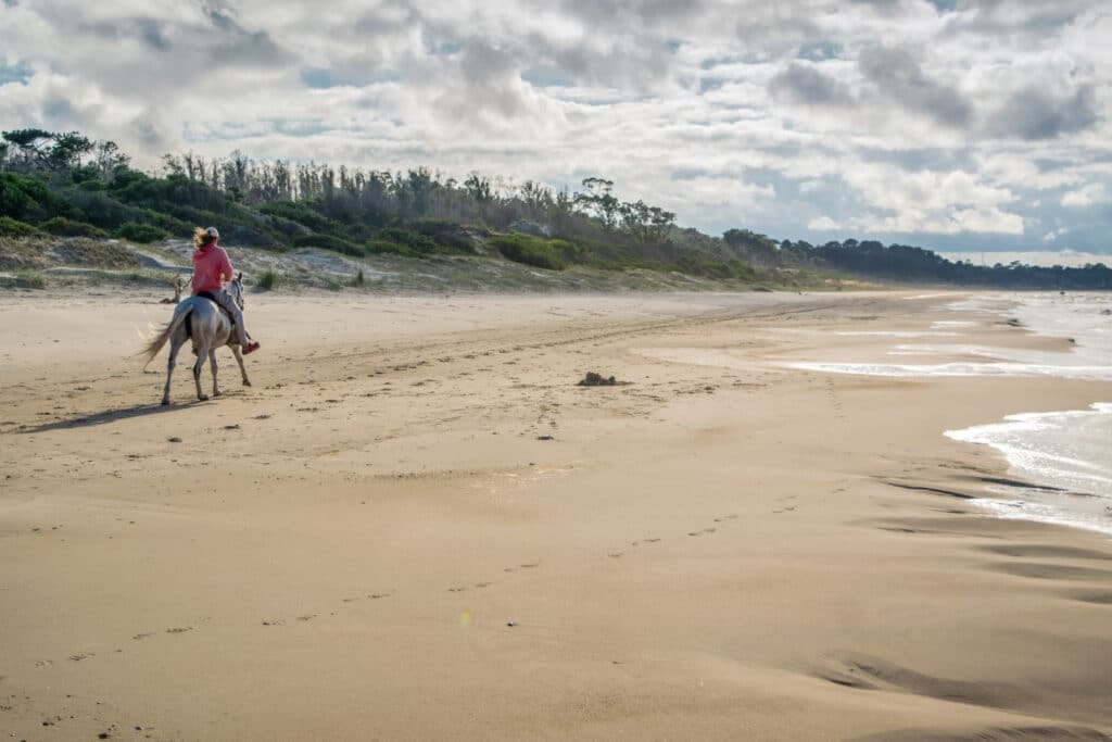 Canelones uruguay man morning horse riding along beach