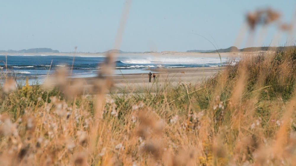 Blick auf ein im Ausland lebendes Paar, das an einem uruguayischen Strand spazieren geht, gegen den Himmel