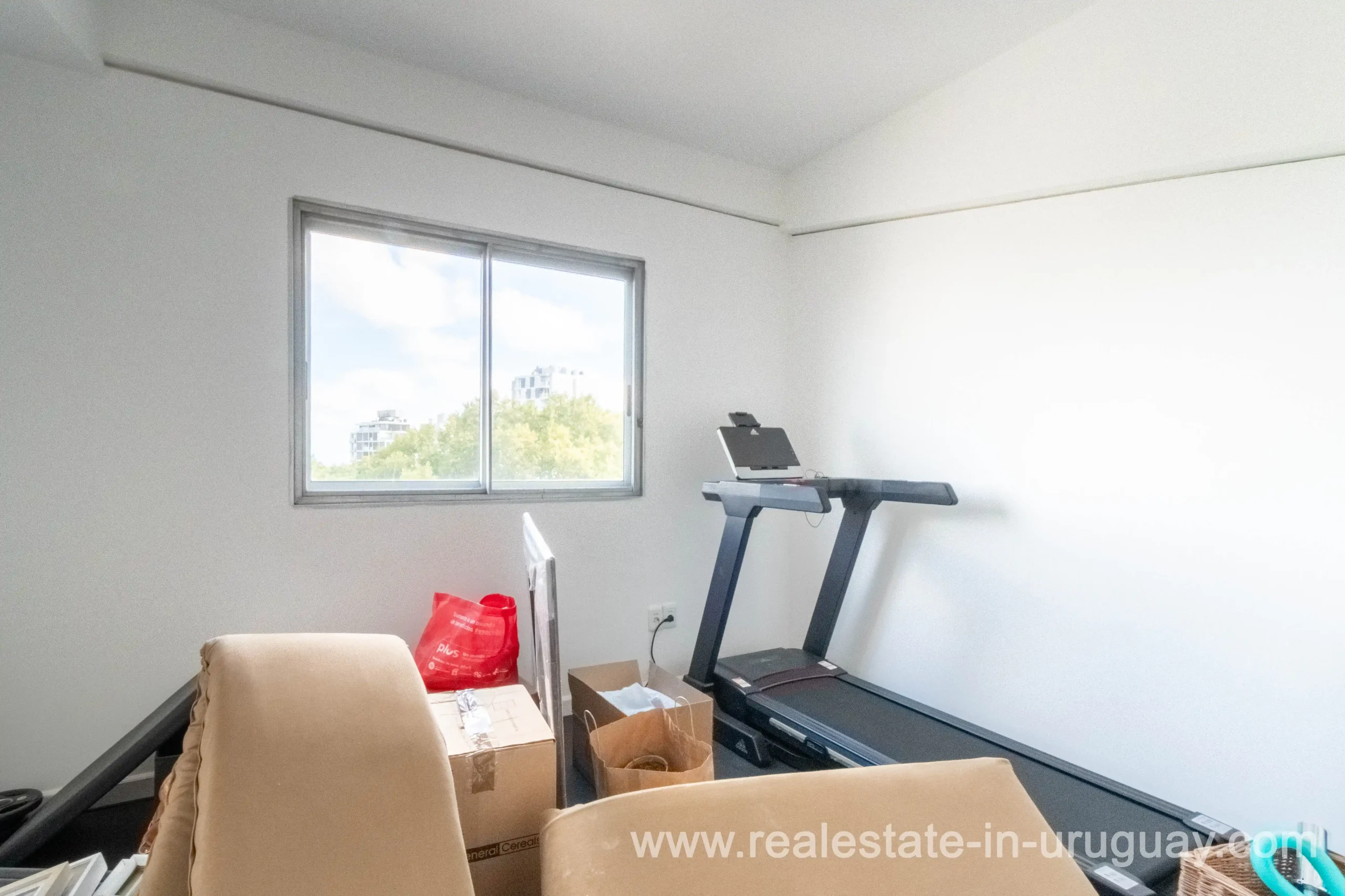 View of Neuilly Sur Seine, île De La Jatte, High End Apartment With South ...